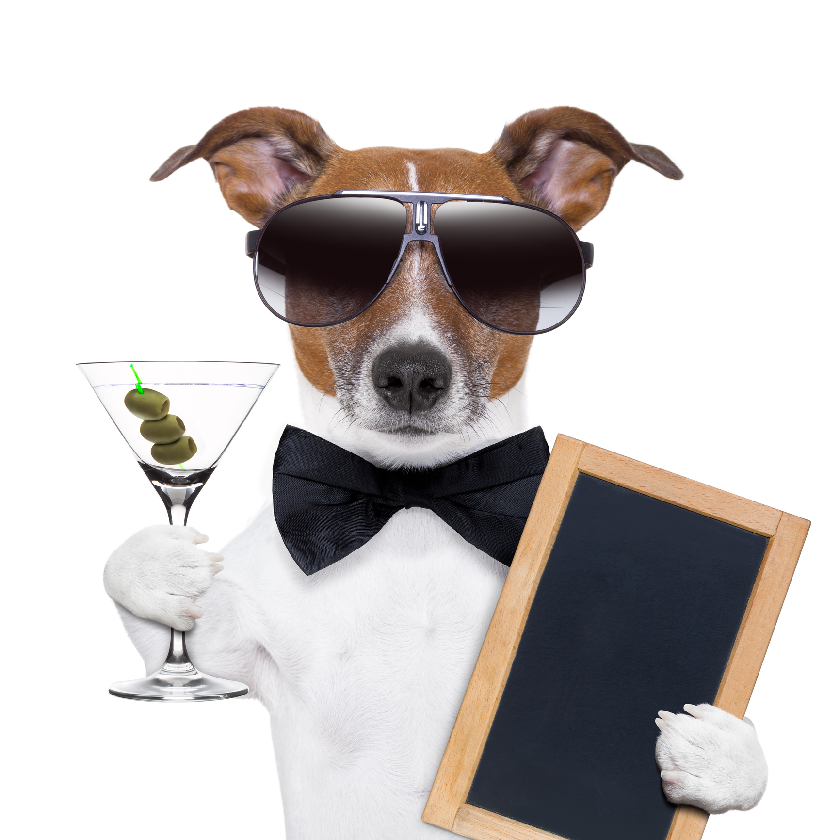 cute dog with sunglasses chalkboard and martini